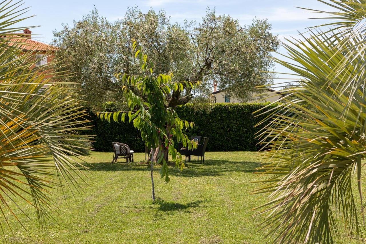 B&B Villa Oasa 1 Rovinj Zewnętrze zdjęcie